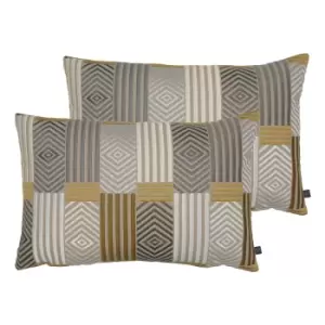 Blake Twin Pack Polyester Filled Cushions