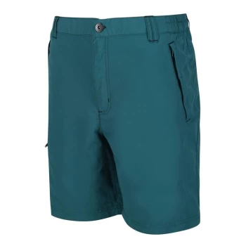 Regatta Leesville II Shorts - PacificGreen