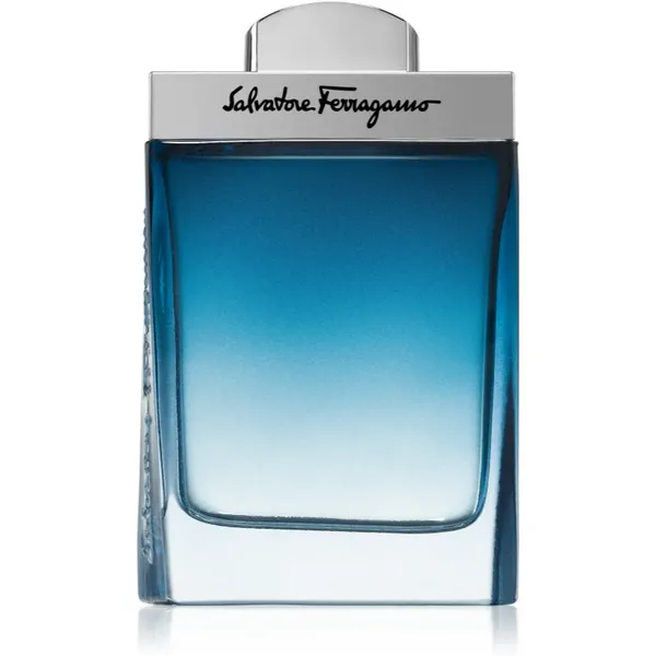 Salvatore Ferragamo Subtil Pour Homme Eau de Toilette For Him 100ml