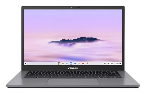 Asus 14" Chromebook Laptop - Black / Grey