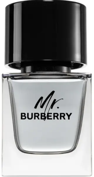 Burberry Mr Burberry Eau de Toilette For Him 50ml