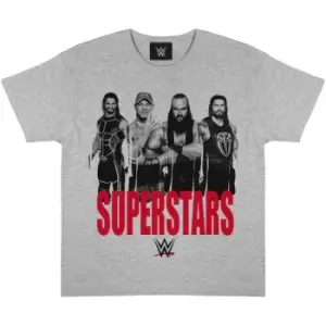 WWE Girls Superstars T-Shirt (5-6 Years) (Heather Grey/Black/Red)