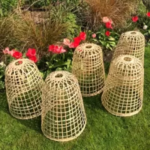 Bamboo Bell Cloche - Large (pack of 5)