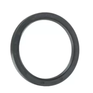 REINZ Crankshaft Seal FIAT,MITSUBISHI,MINI 81-34798-00 11111492244,4621939AB,55223567 Crankshaft Gasket,Shaft Seal, crankshaft 11111492244