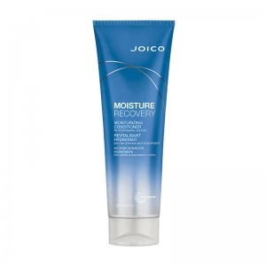 Joico Moisture Recovery Conditioner 250ml