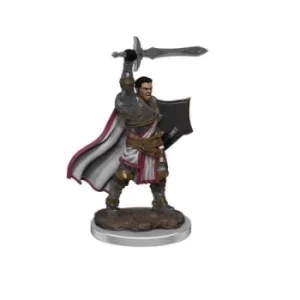 D&amp;D Icons of the Realms Premium Figures (W7) Male Human Paladin