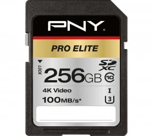 Pro Elite Class 10 SDXC Memory Card - 256GB