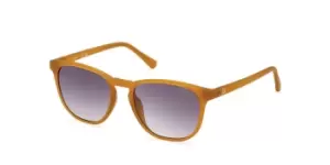 Guess Sunglasses GU 00061 43B