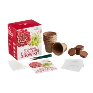 Thompson & Morgan Thompson and Morgan Stunning Succulents Growing Kit x 1