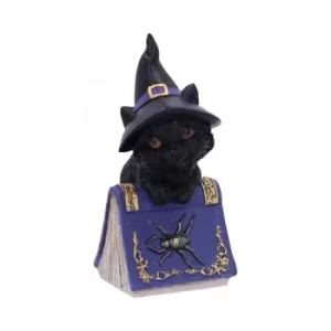 Pocus Cat and Spellbook Figurine