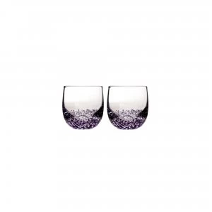 Denby Amethyst Small Tumbler Pack Of 2