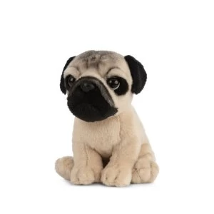 Plush Pug Puppy Soft Toy