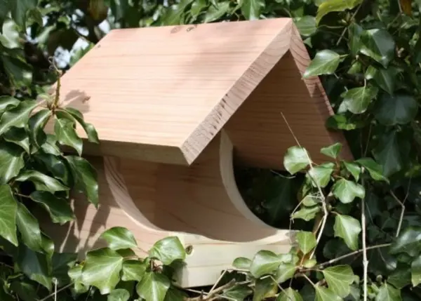 Wildlife World Blackbird Nest Box