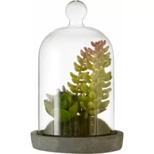 Premier Housewares Fiori Small Succulent Dome with Cement Base