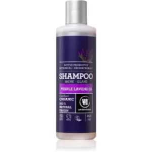 Urtekram Purple Lavender Shampoo for Normal to Dry Hair 250ml