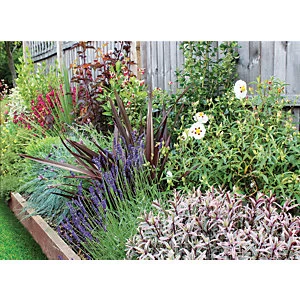 Garden On A Roll Wildlife Border Pack 4m x 60cm Plants