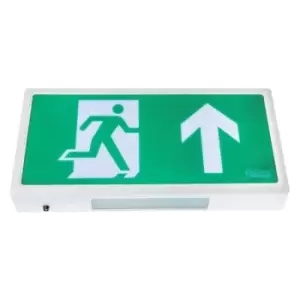 Channel Smarter Safety Alpine Emergency Exit Box Sign - E-AL-M3-LED