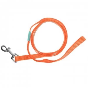 Pet Brands Dog Leash 4 Ass91