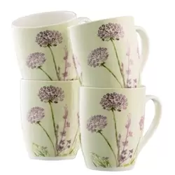 Floral Spree 4 Mugs Set