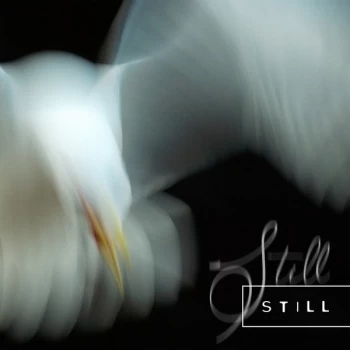 Aria Rostami & Daniel Blomquist - Still CD