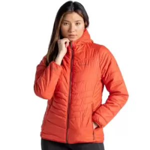 Craghoppers Womens Compresslite Hooded Insulated Jacket 8 - Bust 32' (81cm)