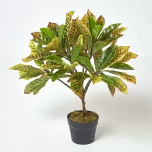 Homescapes - Green 'Rushfoil' Artificial Croton Plant with Pot, 65cm - Green