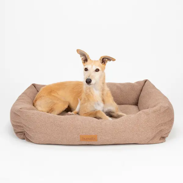 Scruffs Seattle Box Bed brown