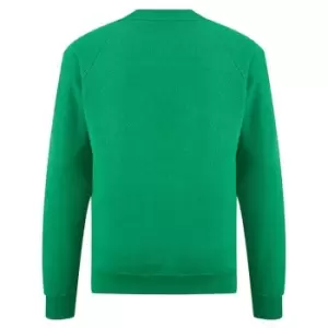 Fruit Of The Loom Childrens Unisex Raglan Sleeve Sweatshirt (12-13) (Heather Green)