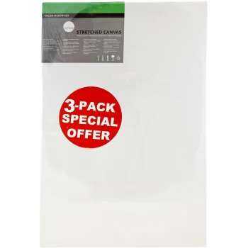 Simply Canvas Pack of 3 - 40 x 60cm / 16 x 24' - Daler Rowney