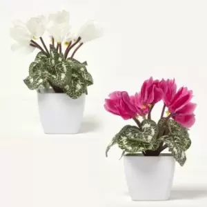 Homescapes Set of 2 Cyclamen Artificial Plant in White Pot, 24cm - Natural, Pink