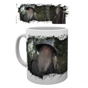 Lord of the Rings Gandalf Mug