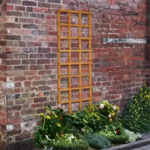 Heavy Duty Trellis - 61cm - Pack of 4