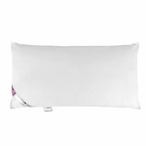 White Duck Feather and Down King Size Pillow - White - Homescapes