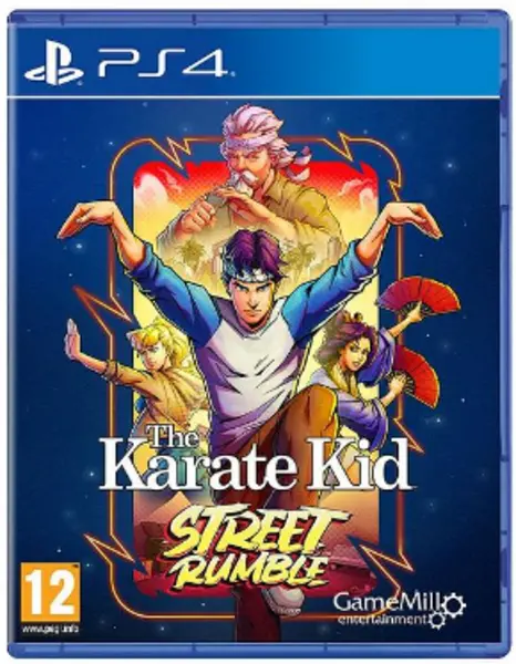 The Karate Kid Street Rumble PS4 Game