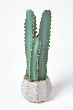 Hylcocereus Artificial Cactus In Decorative Textured Stone Pot