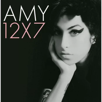 Amy - 12X7 Vinyl