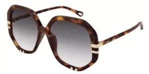 Chloe Sunglasses CH0105S 004