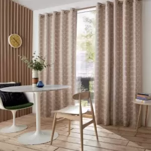 Orla Kiely Linear Stem Curtains, 117 x 229cm, Latte