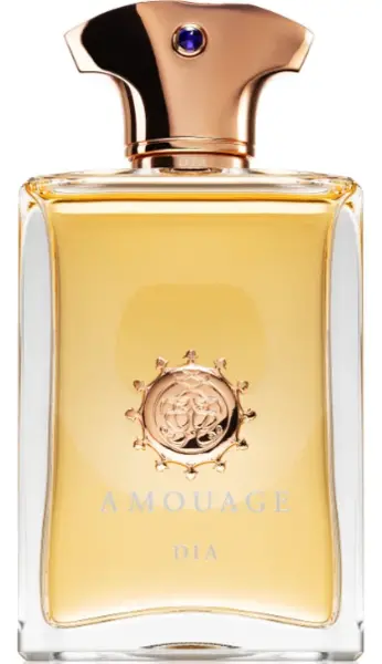 Amouage Dia Eau de Parfum For Him 100ml