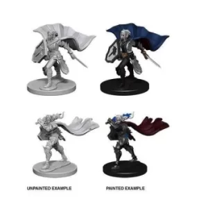 Pathfinder Battles Premium Painted Figure (W2) Elf Paladin Female