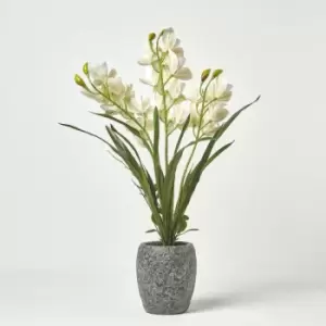 Homescapes - White Orchid 82cm Cymbidium in Cement Pot Extra Large, 3 Stems - White & Green