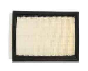 RIDEX Air filter BMW,ROVER,WIESMANN 8A0078 13721730449,13721730946,13721738462 Engine air filter,Engine filter GFE1140,PHE10004,PHE10004EVA