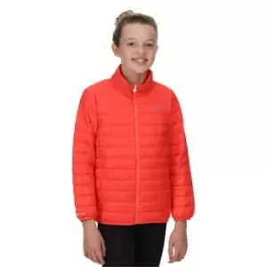 Regatta Girls Junior Hillpack Lightweight Padded Jacket Coat 15 Years - Chest 86-98cm (Height 164-170cm)