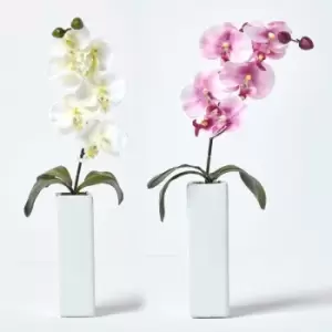 Homescapes - Set of 2 Artificial Pink & Cream Orchids in Thin Cream Vases, 43 cm