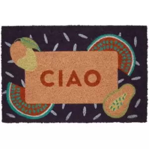 Premier Housewares - Ciao Doormat