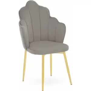 Tian Grey Velvet Dining Chair - Premier Housewares