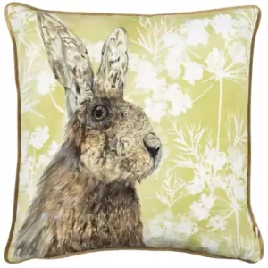 Manor Hare Cushion Natural, Natural / 43 x 43cm / Polyester Filled