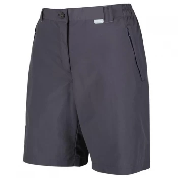 Regatta Chaska II Walking Shorts - Iron