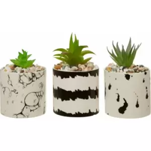 Premier Housewares - Set of 3 White / Black Succulents Artificial / Fake Mini Potted Succulent Plants With Decorative Chic Contemporary Design Faux