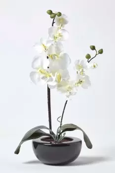 Orchids Style in Black Bowl